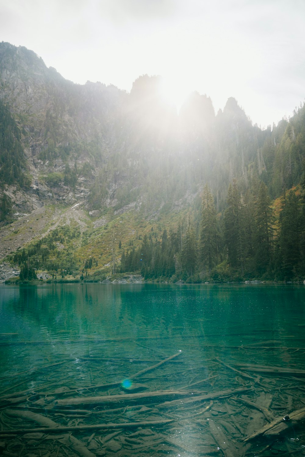 a body of water surrounded by trees and mountains