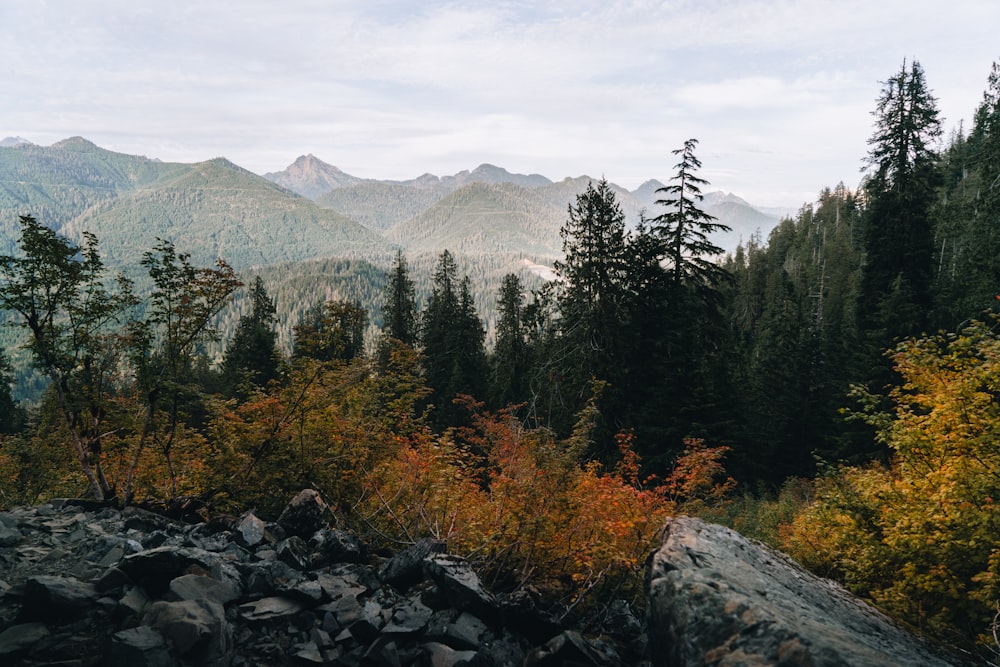 a view of a mountain range with trees and rocks