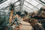 A greenhouse with a variety of desert plants and succulents. Large, spiky agave plants and cactus are featured prominently along a stone pathway. The glass structure allows natural light, creating a warm and dry ambiance. The setting includes rocky terrain and displays different species of resilient plants adapted to arid conditions.