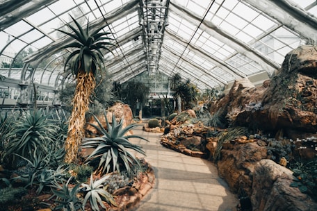 Researchers examining aromatic plants in a sunlit desert greenhouse.