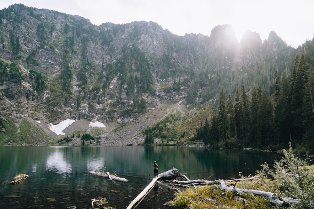 a person standing on a log in the middle of a lake