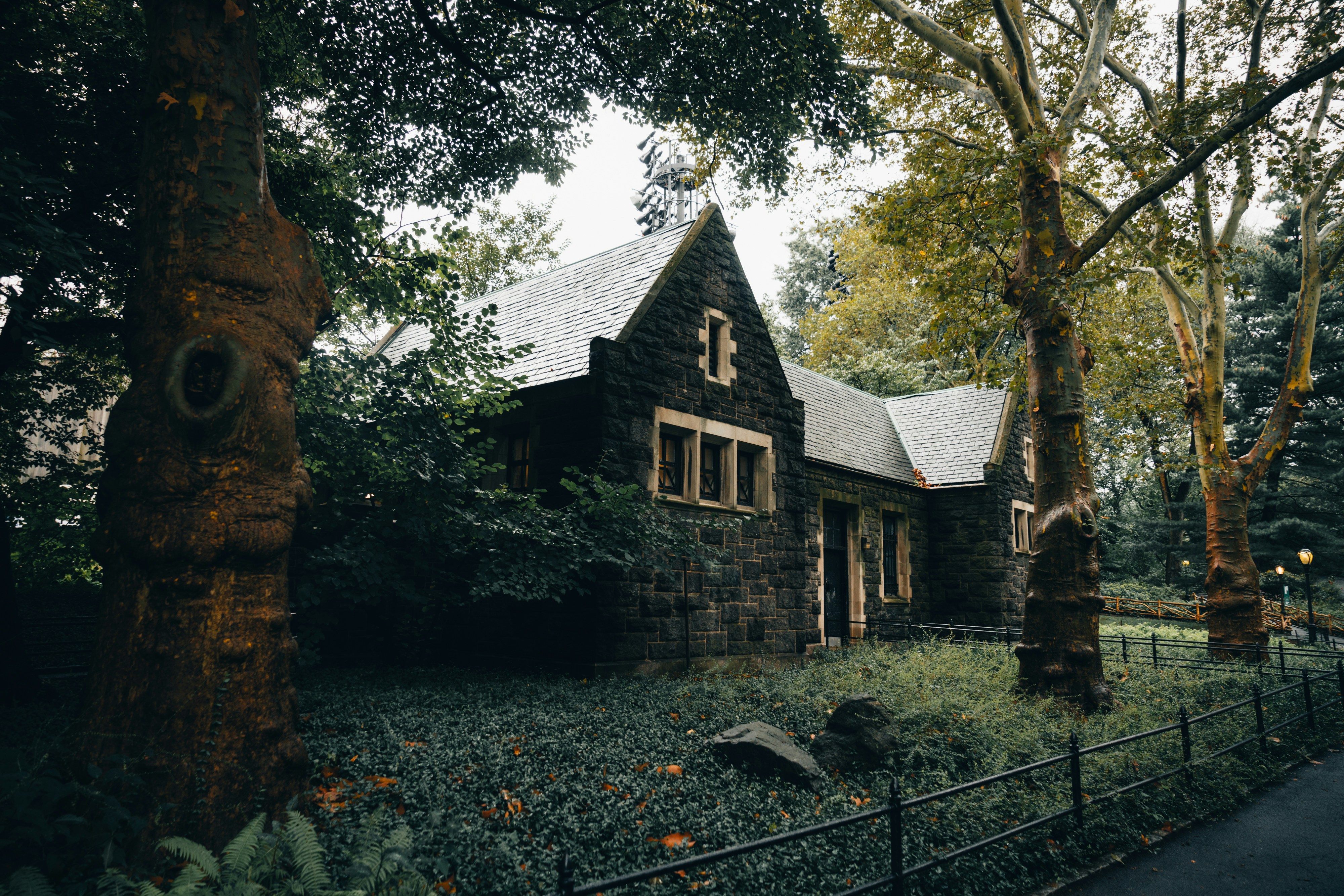 Photo by lifeof_peter_