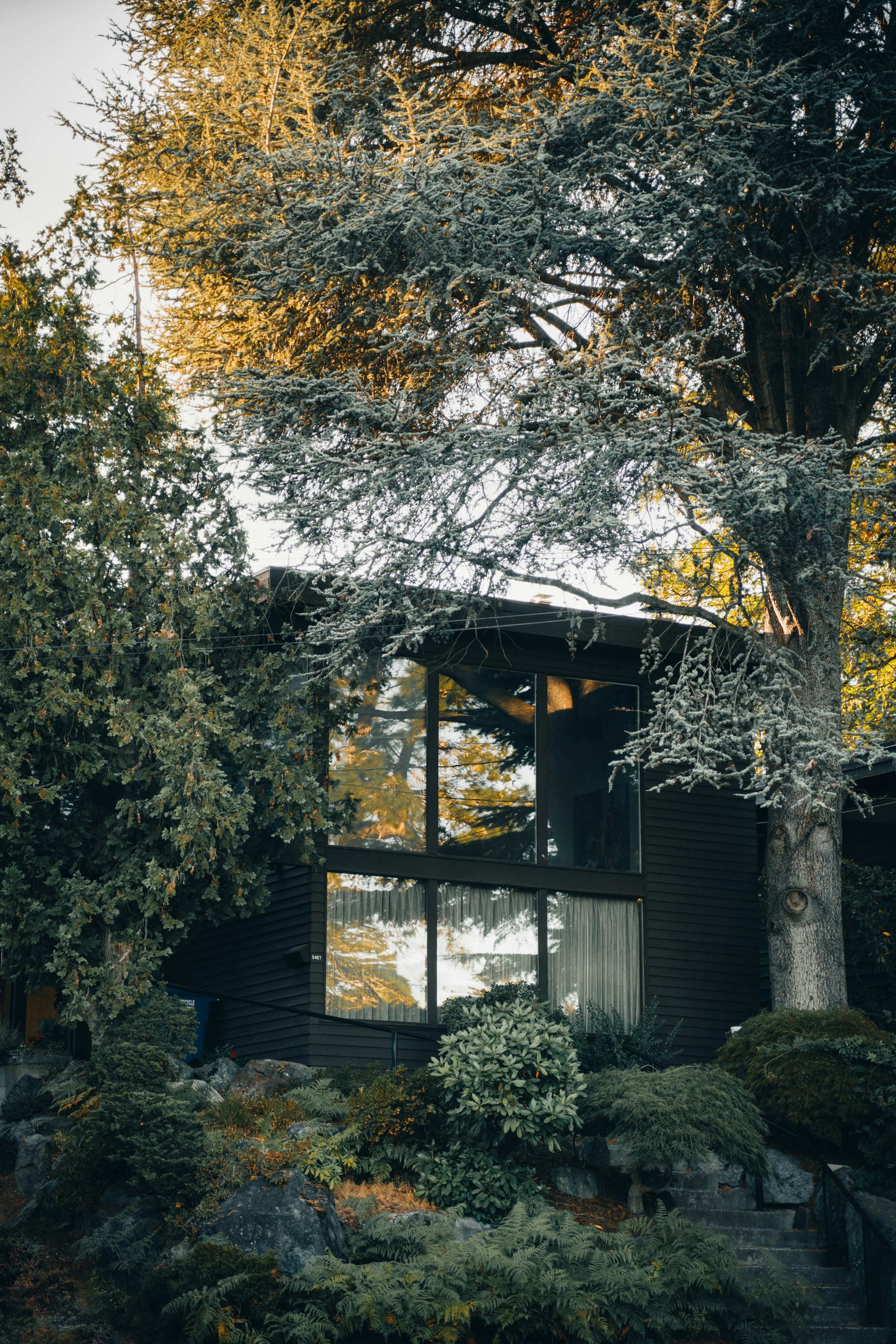 Photo by lifeof_peter_