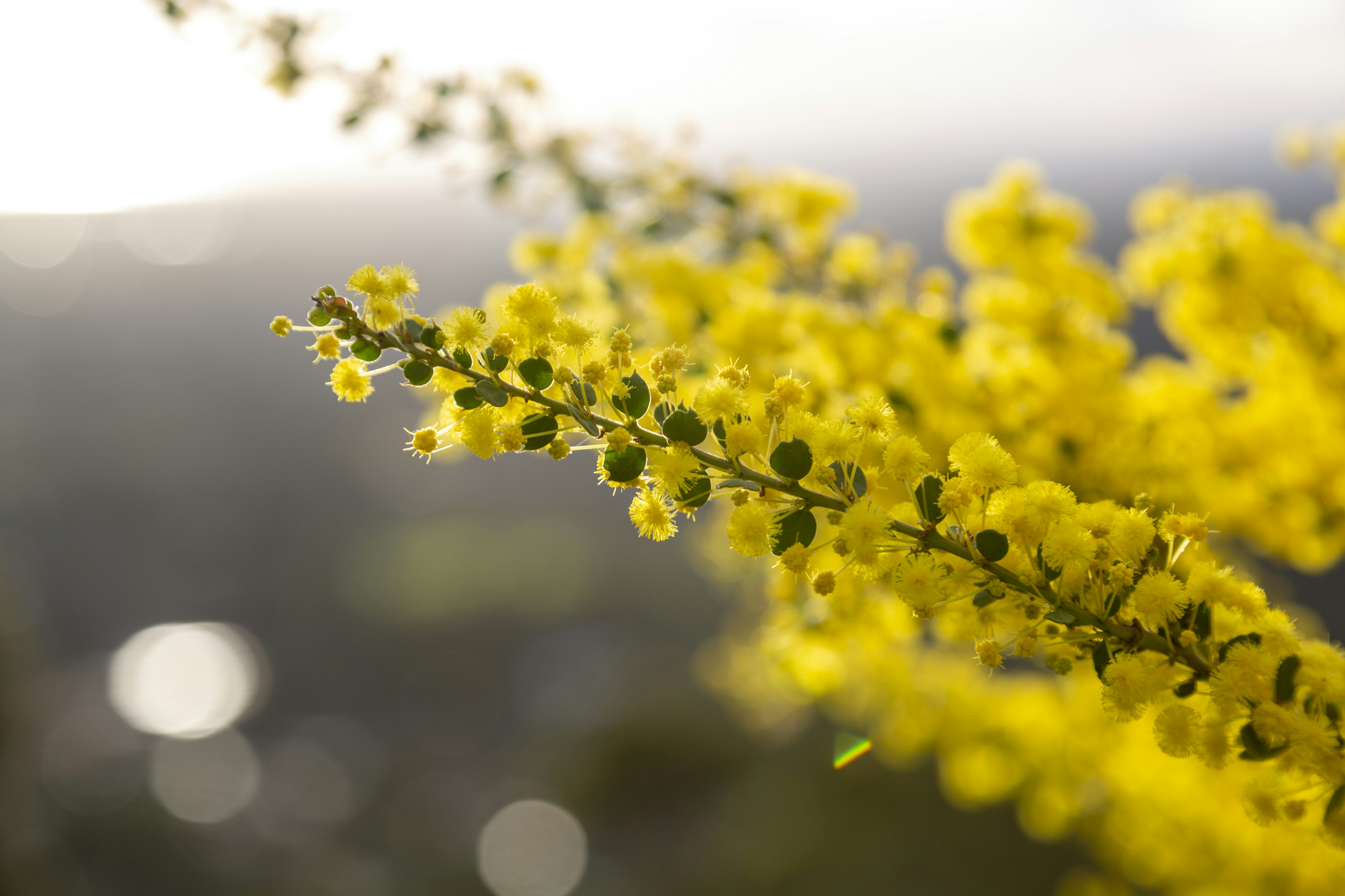 Photo by stephenmabbs