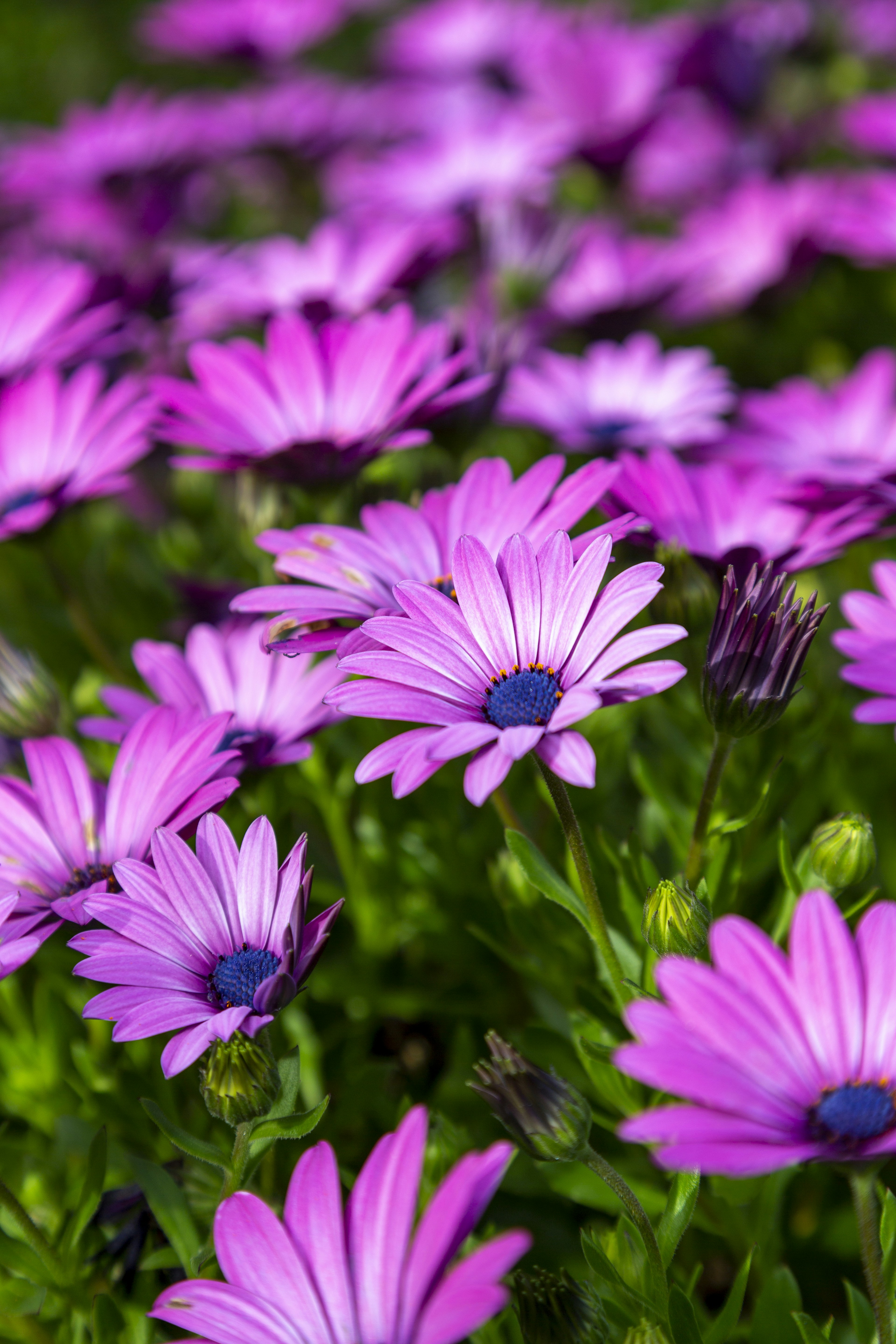 Photo by stephenmabbs