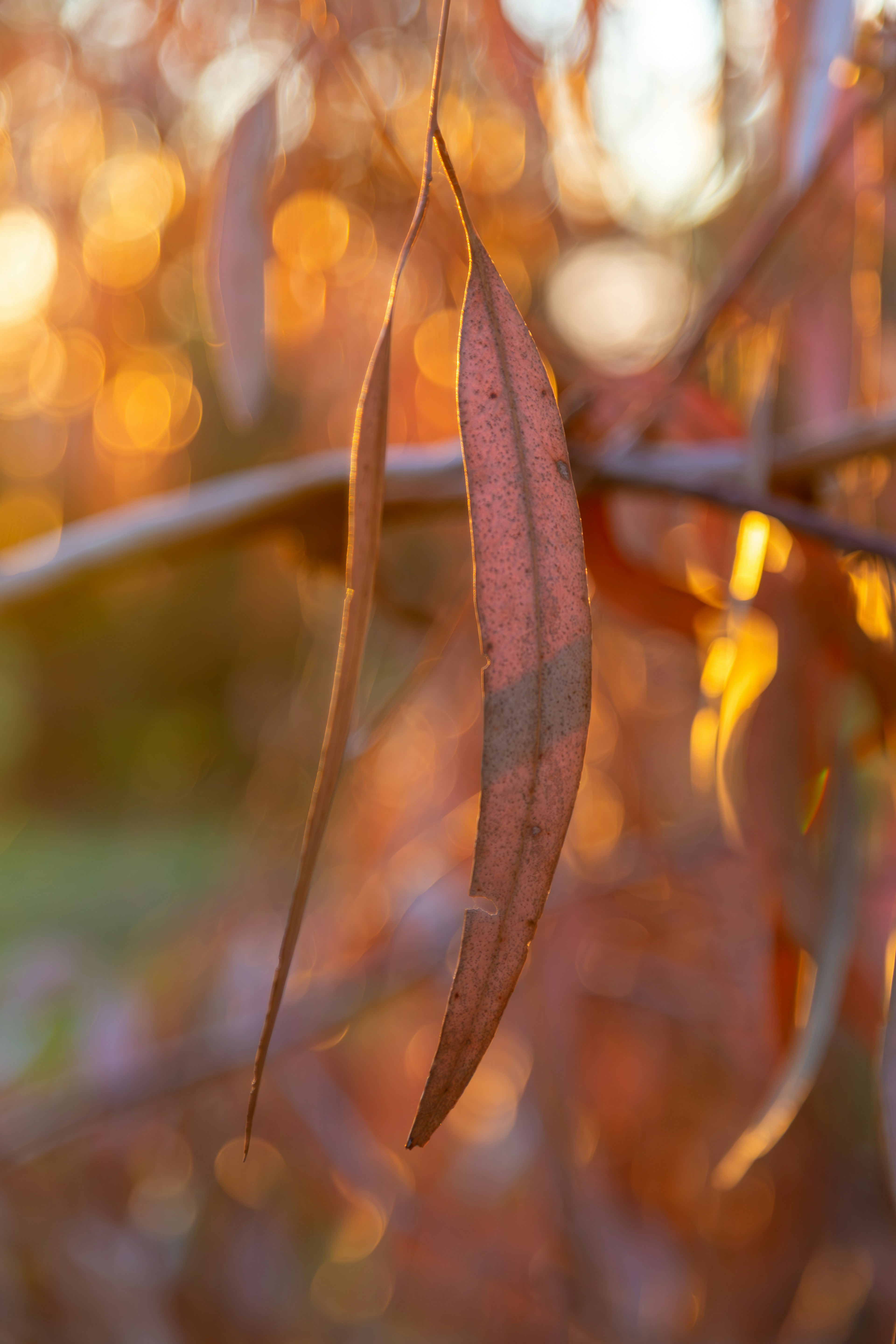 Photo by stephenmabbs