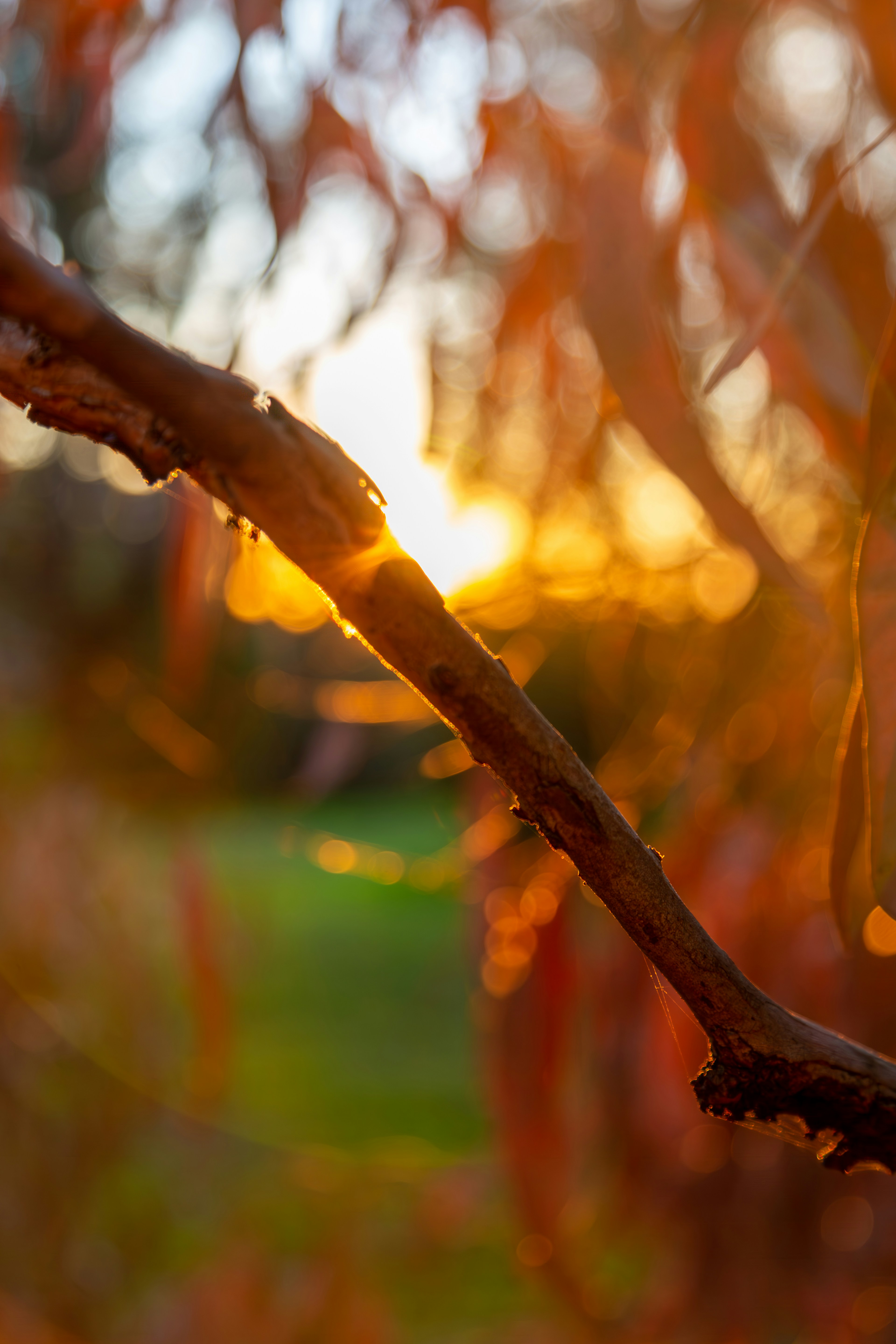 Photo by stephenmabbs