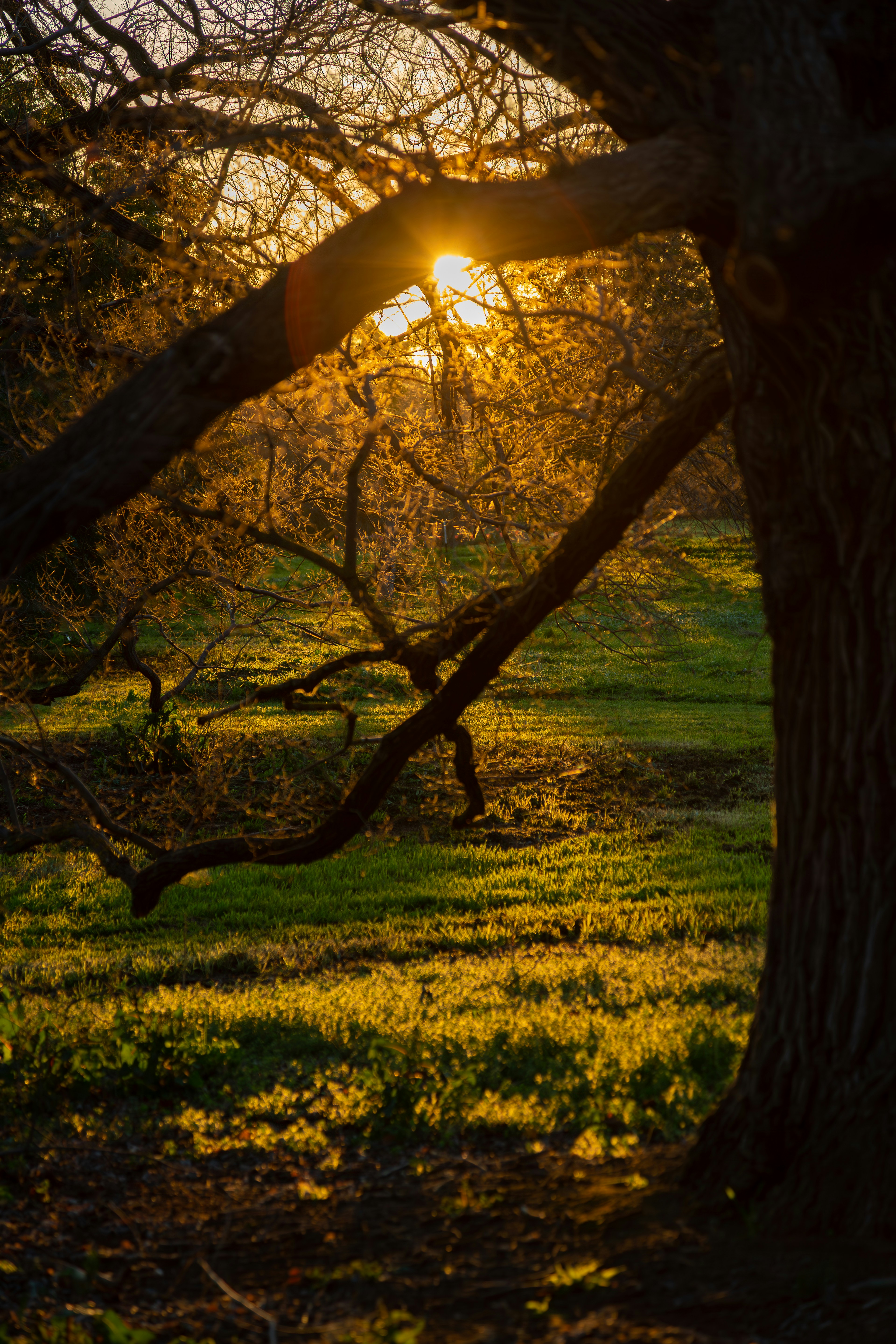 Photo by stephenmabbs