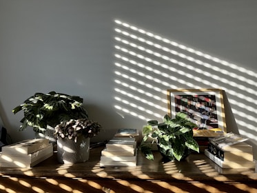 A rustic wooden table scattered with open pages from Jeff Mudd's books, bathed in warm afternoon light.
