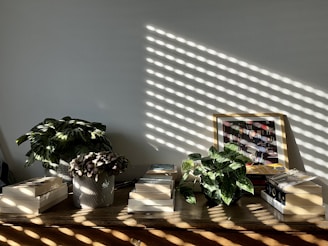 A rustic wooden table scattered with open pages from Jeff Mudd's books, bathed in warm afternoon light.