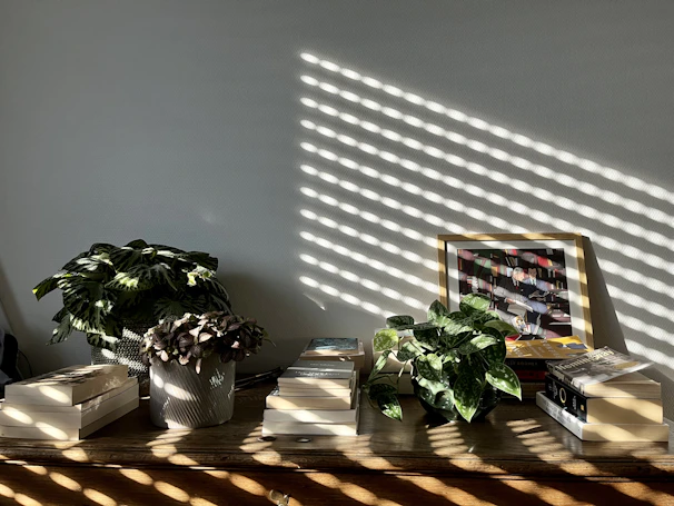Cinematic shot of sunlight filtering through terracotta curtains onto a wooden table stacked with books.