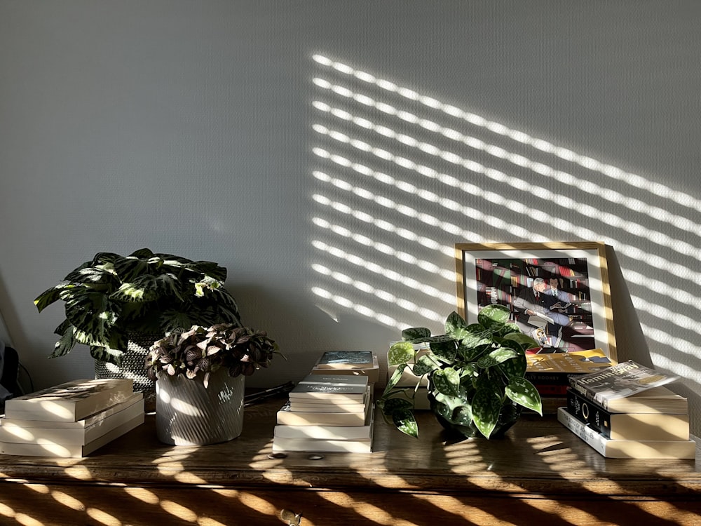 ein Holztisch mit Büchern und einer Topfpflanze