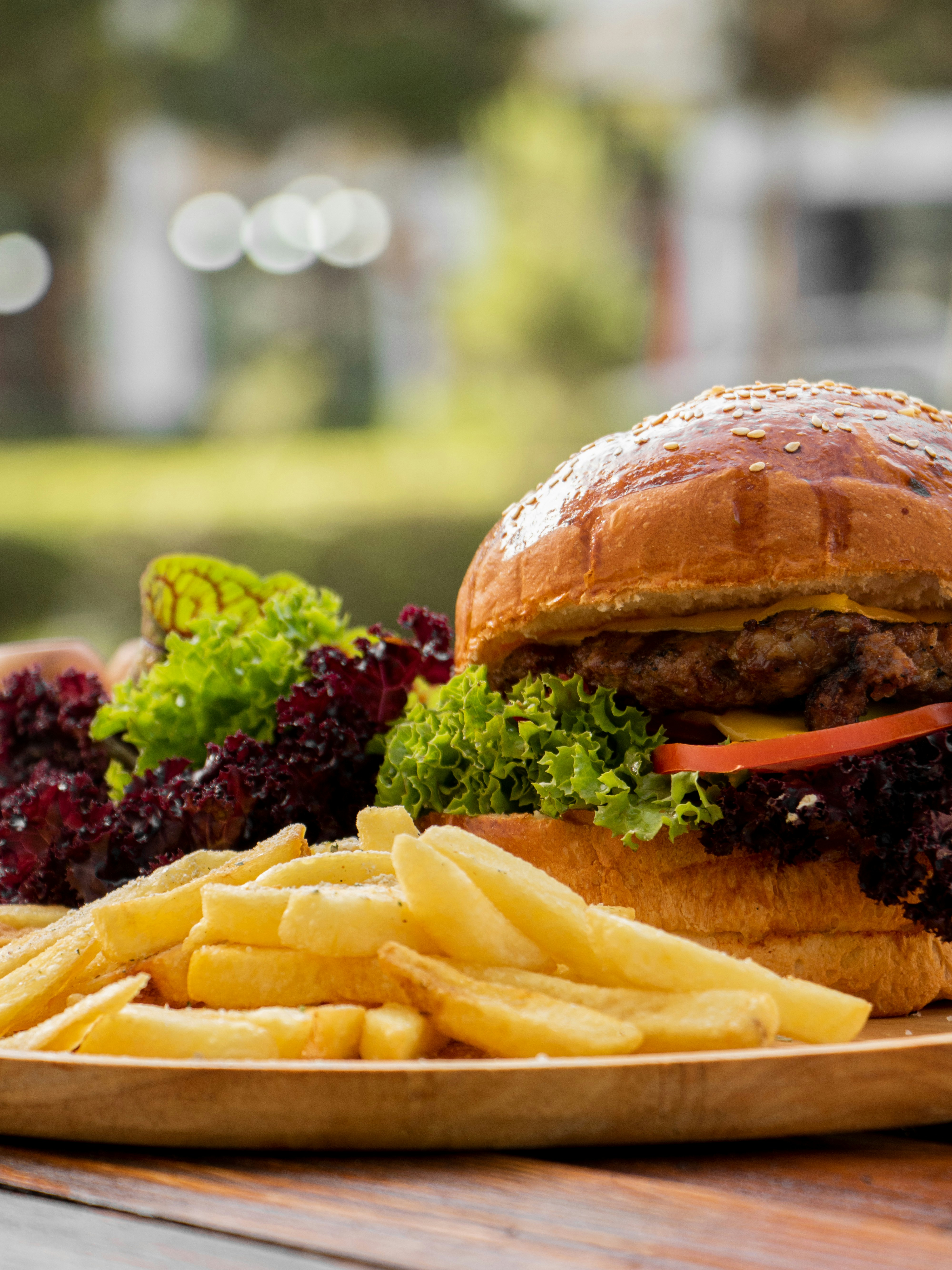 Photo by manighaffariyan