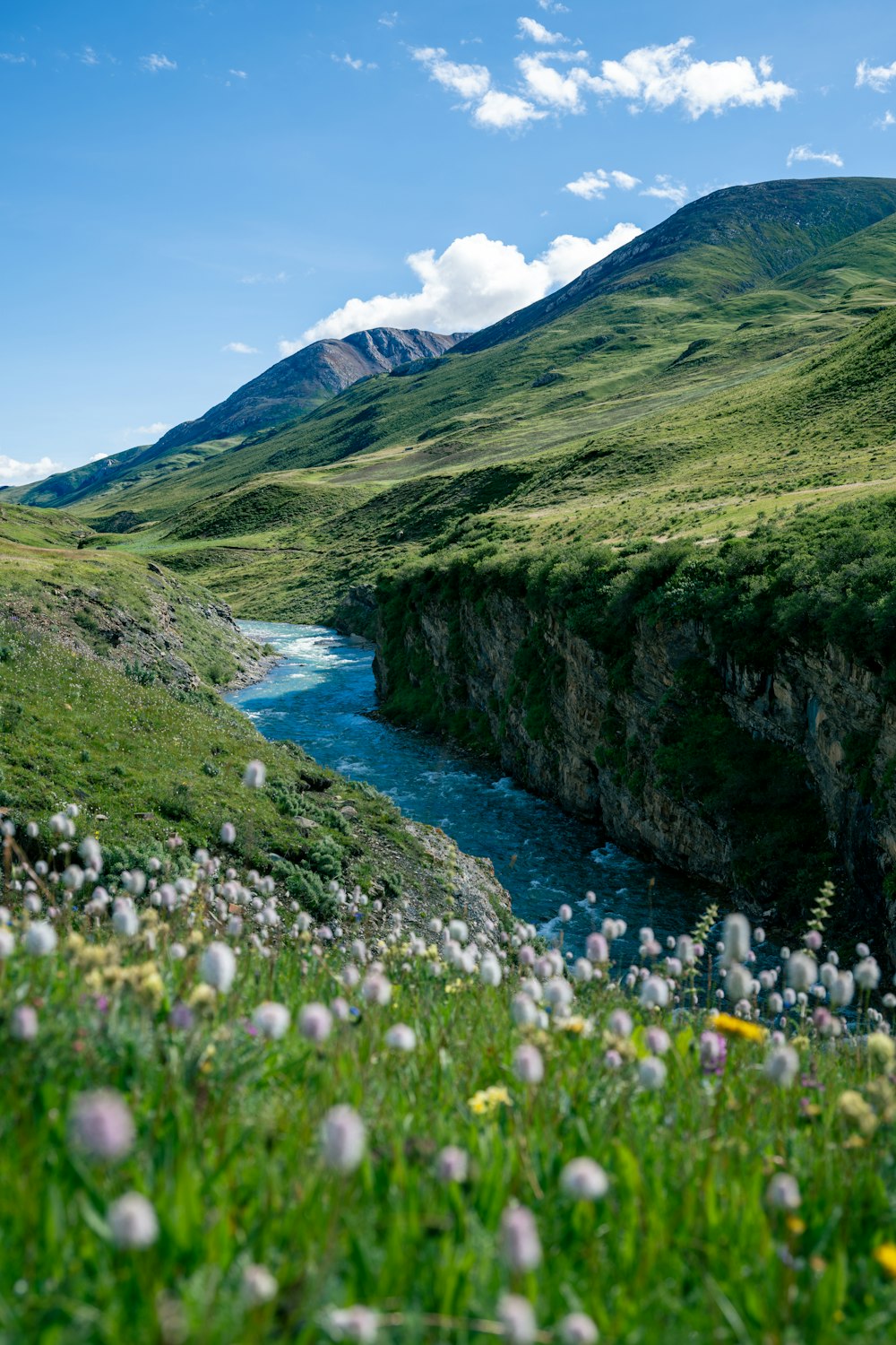 a river running through a lush green valley