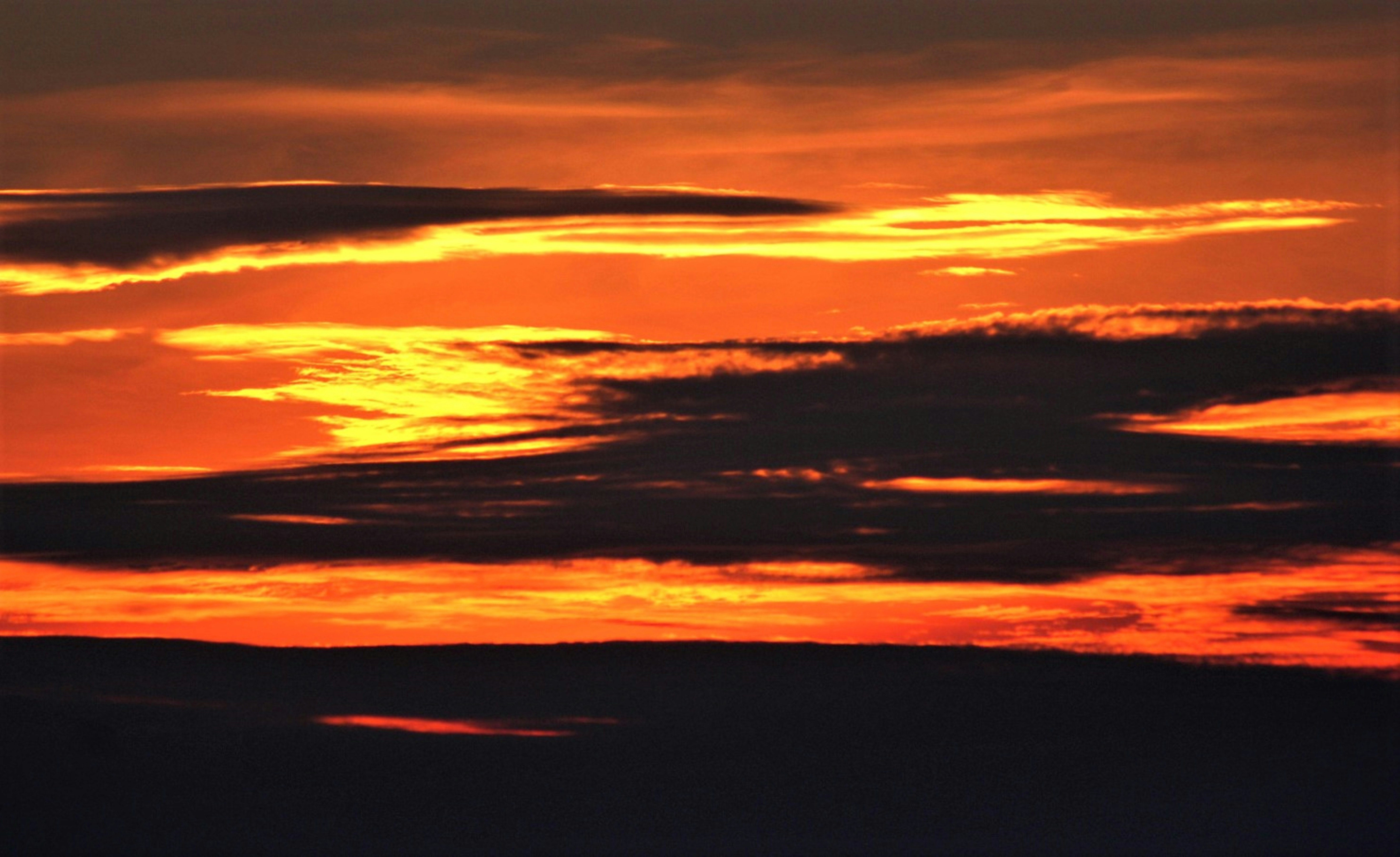 Photo by craigmanners_com