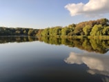 A serene lake surrounded by lush green trees reflecting the sky.