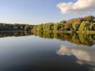 A serene lake surrounded by lush green trees reflecting in the water.