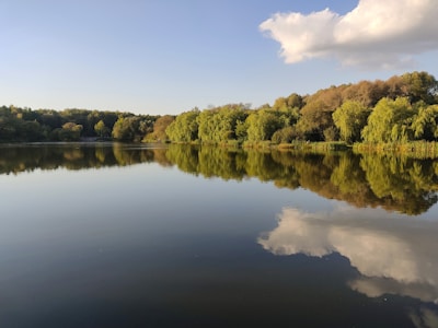 A serene lake surrounded by lush green trees reflecting the sky.