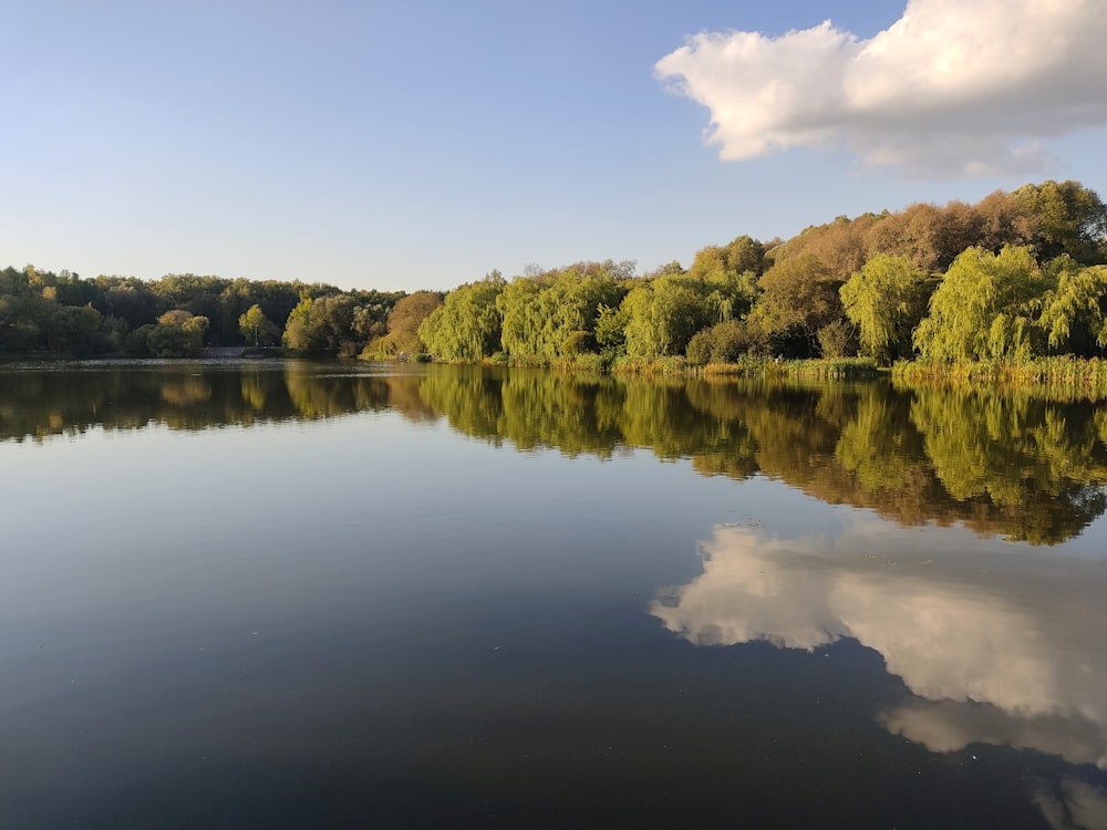 a large body of water surrounded by trees