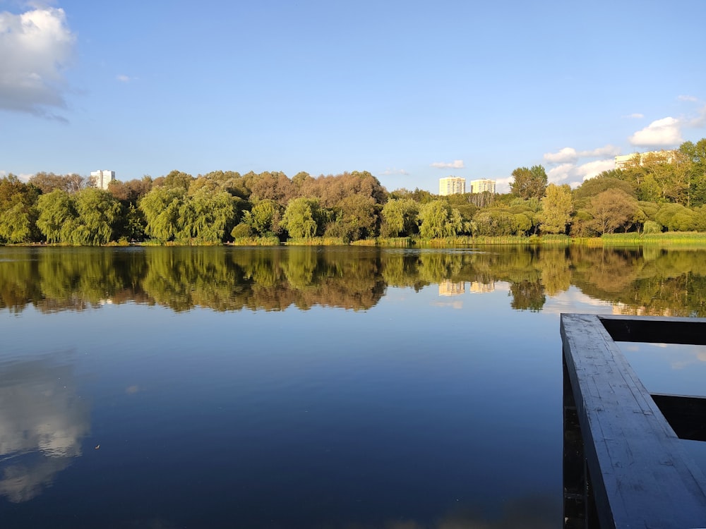 a large body of water surrounded by trees