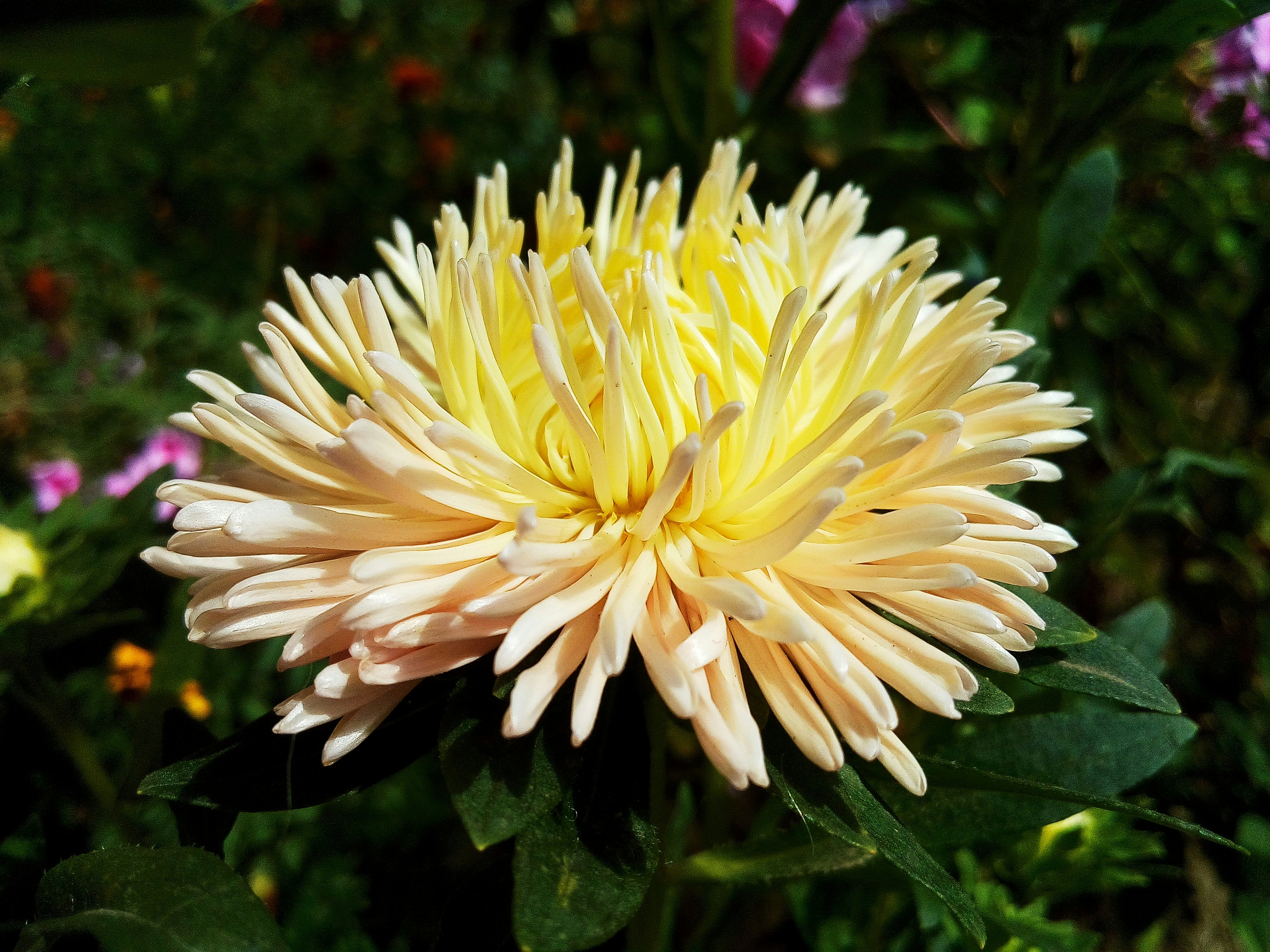 Photo by dmitry_burdakov