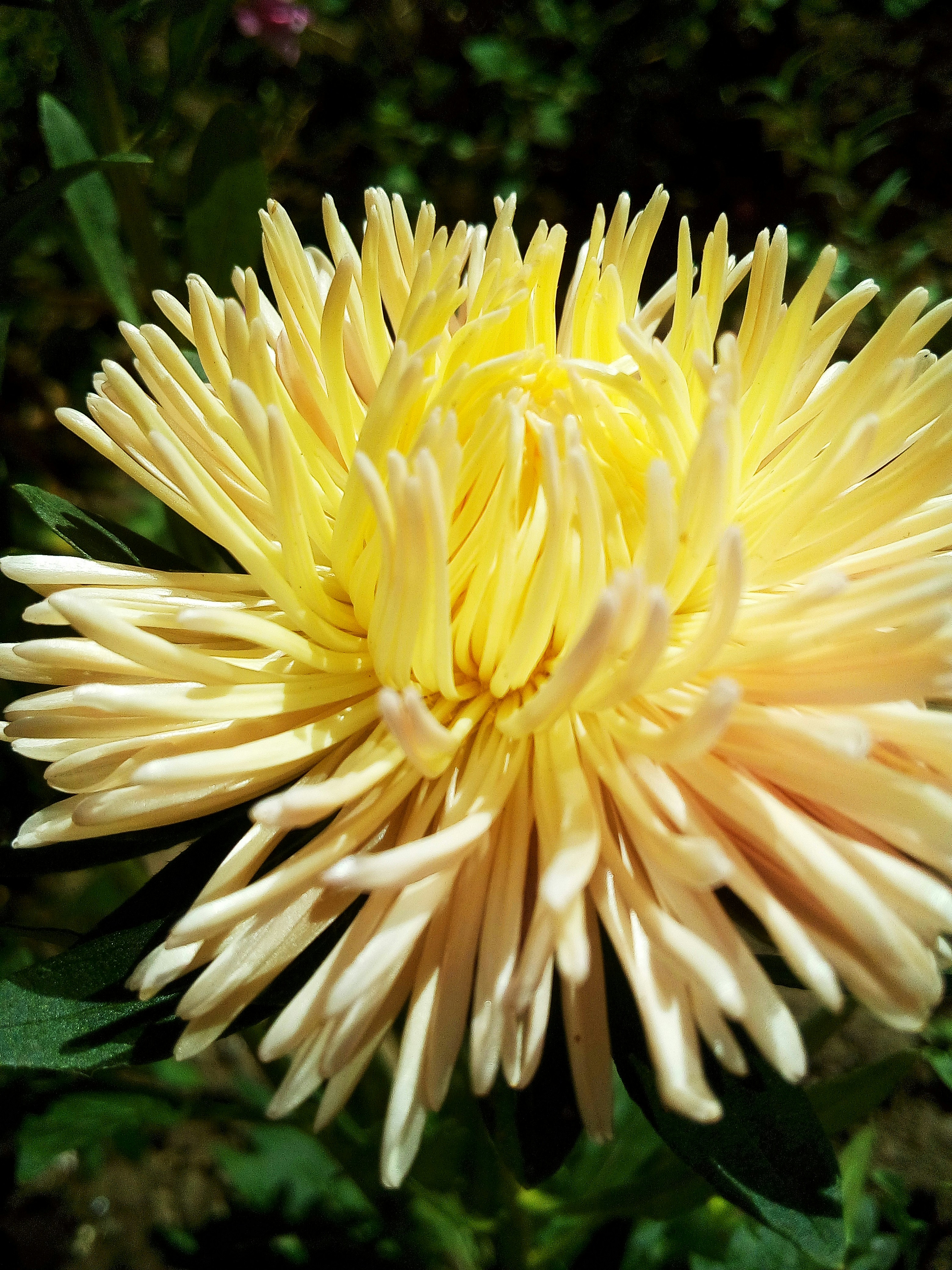 Photo by dmitry_burdakov