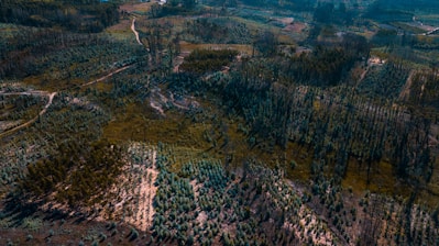 Image of deforestation-free commodities.