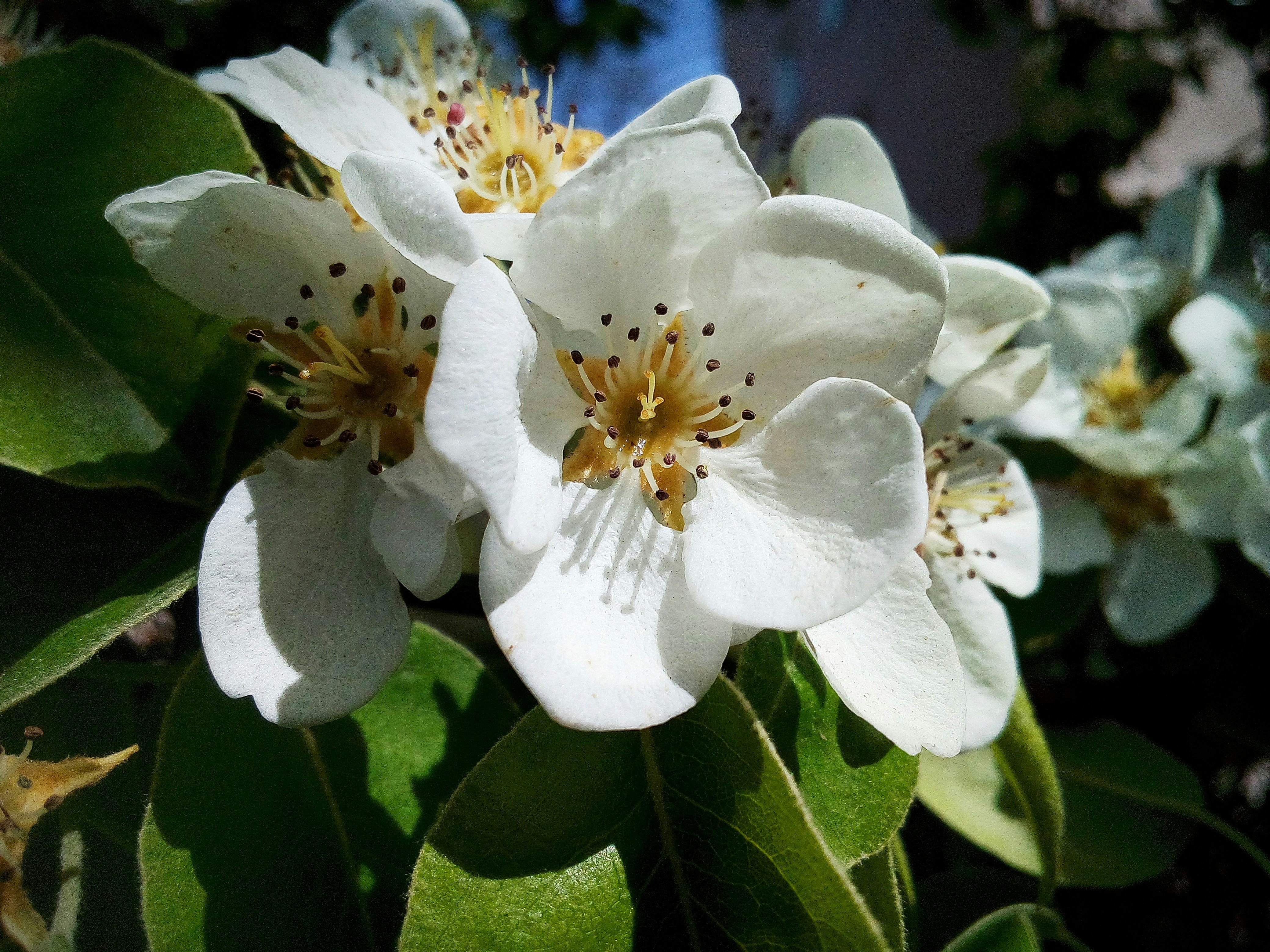 Photo by dmitry_burdakov