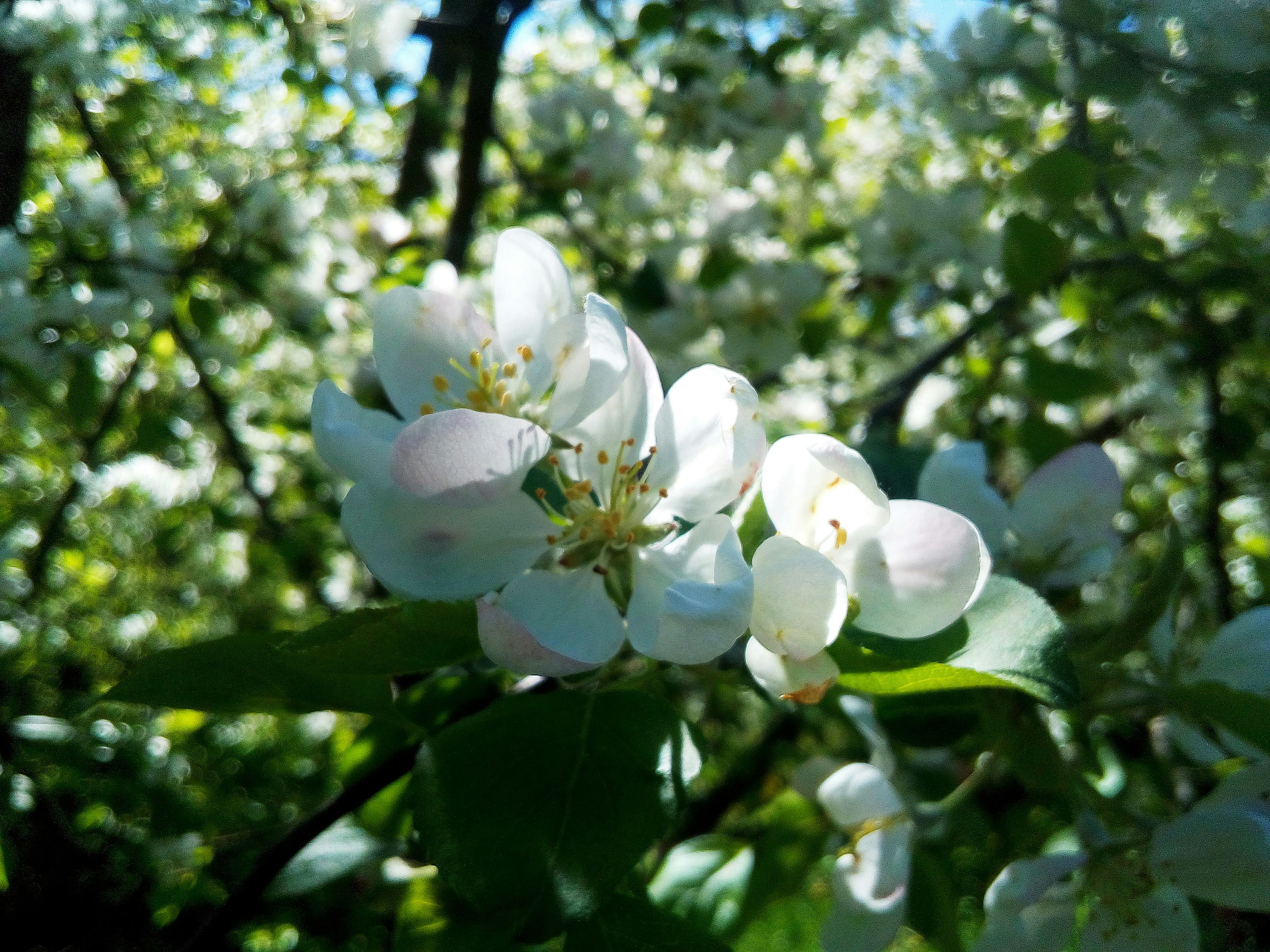 Photo by dmitry_burdakov