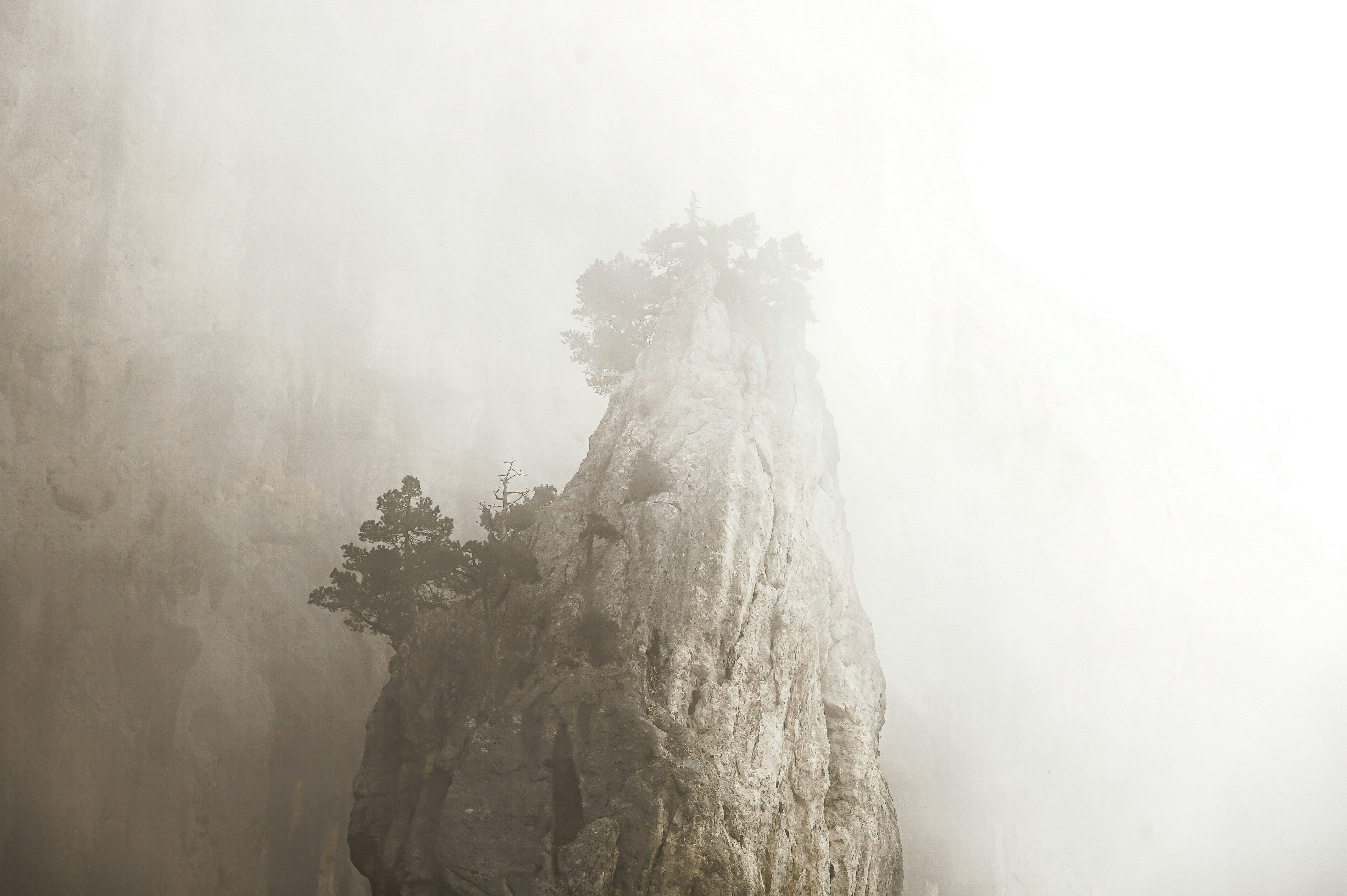 Photo by floriancordier