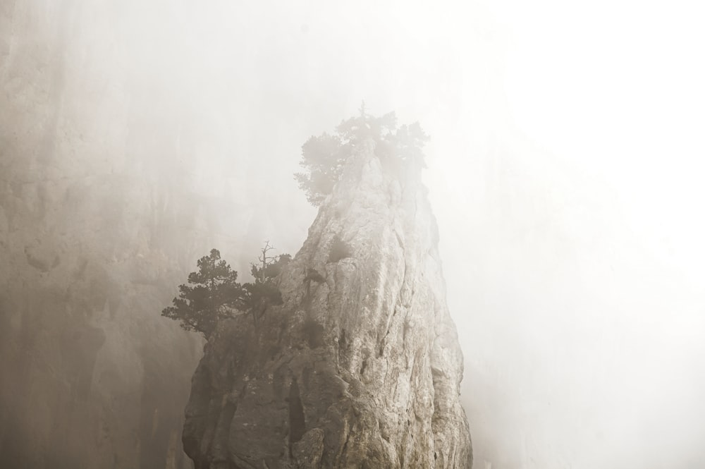 a foggy mountain with trees on top of it