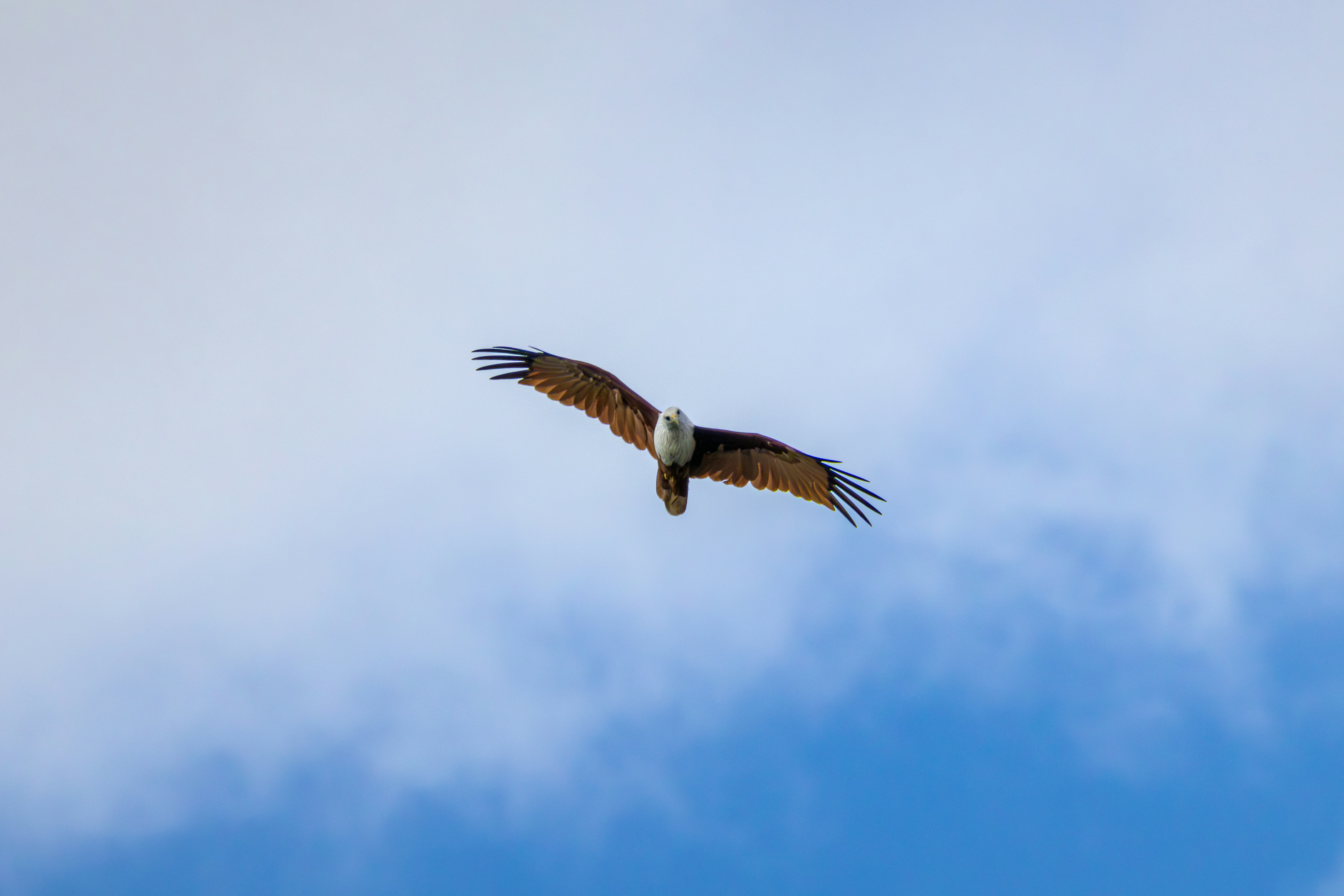 Photo by sameer_srivastava