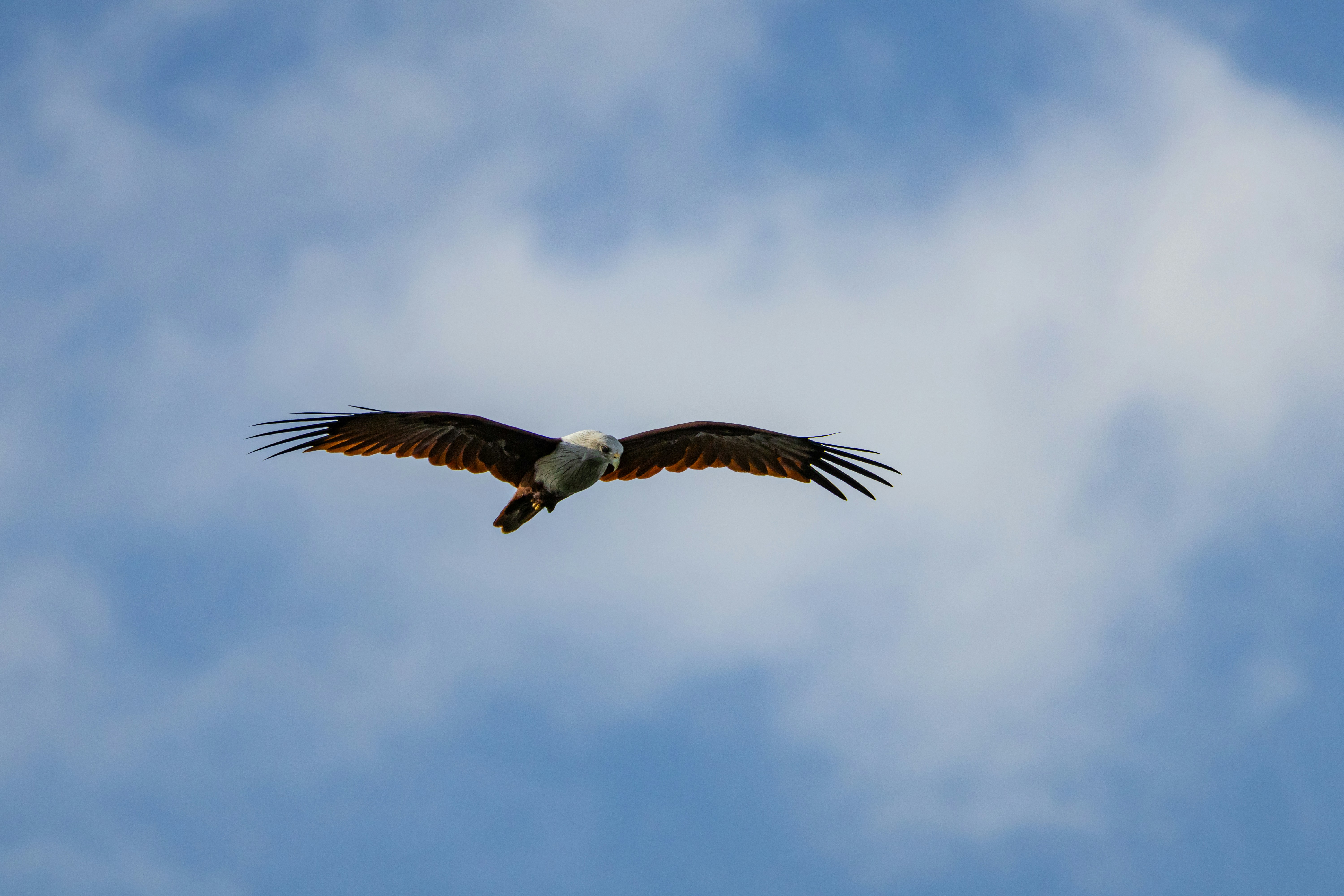 Photo by sameer_srivastava