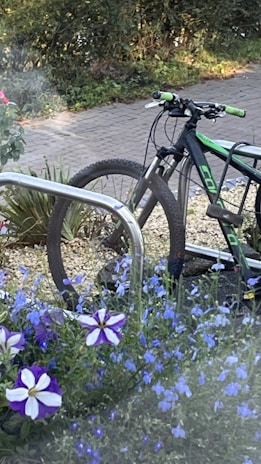 A close-up of a bicycle parked near a vibrant flower garden.