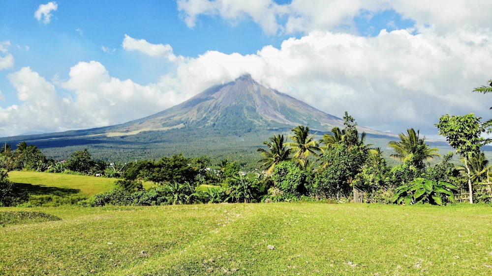 a view of a mountain in the distance