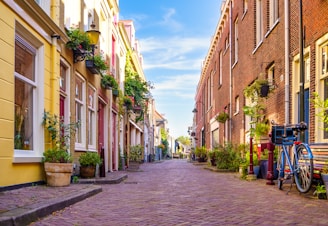 A charming narrow street in Vieste lined with colorful houses and blooming flowers under a bright blue sky.