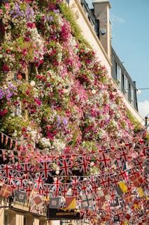 A vibrant collaboration between the UK and Asia.