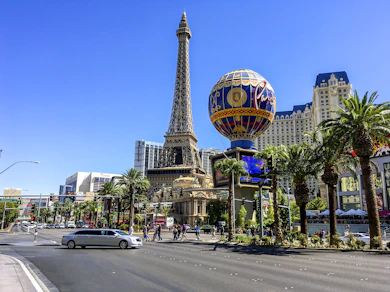 the eiffel tower towering over the city of paris