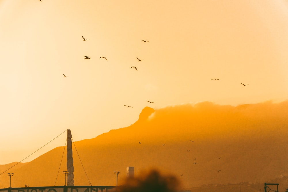 Uno stormo di uccelli che volano sopra una montagna al tramonto