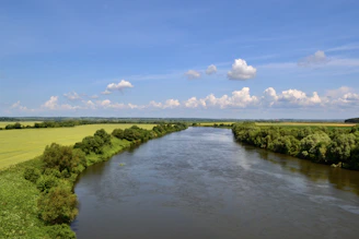 A serene river winding through a lush green watershed under a clear blue sky.