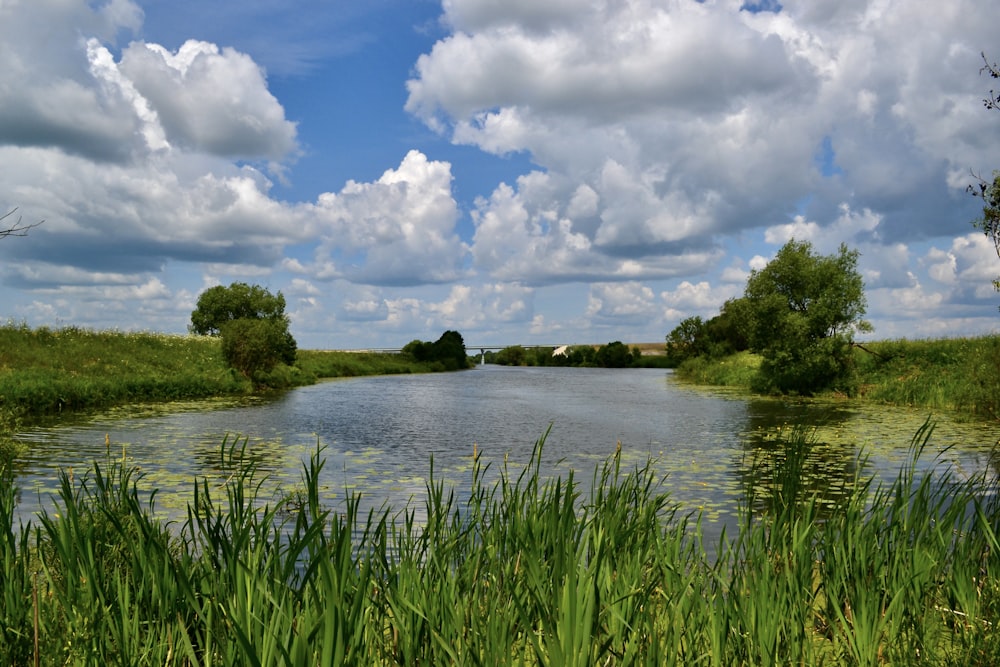 a body of water surrounded by lush green grass