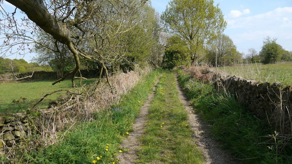 a dirt path in the middle of a grassy field
