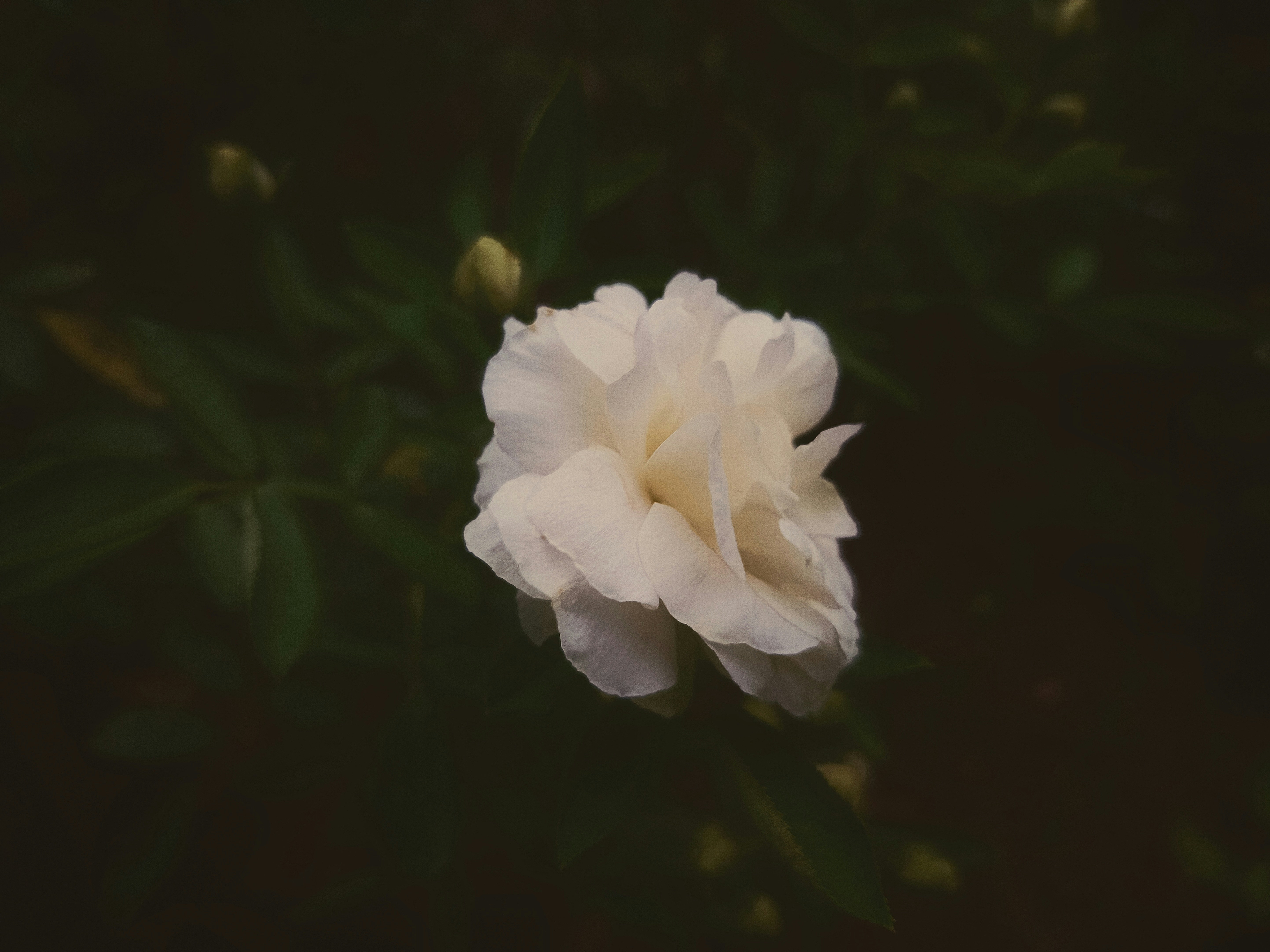 Photo by 18_erashots