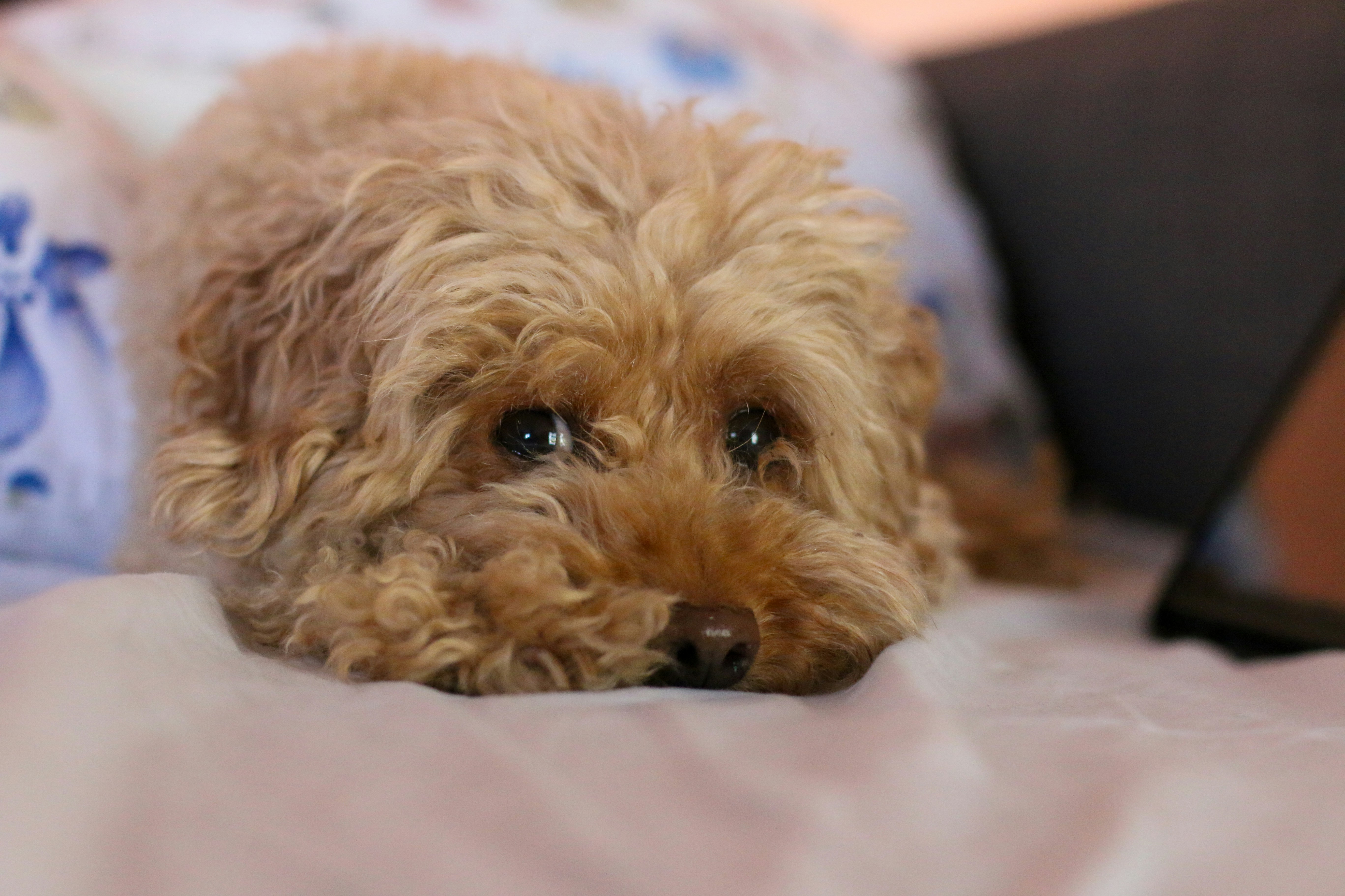 Photo by ale__bosi15