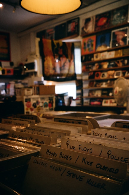 A cozy music store with rows of vinyl records organized in labeled sleeves. The shelves on the walls are filled with colorful album covers and posters. A warm lamp light adds a nostalgic ambiance.