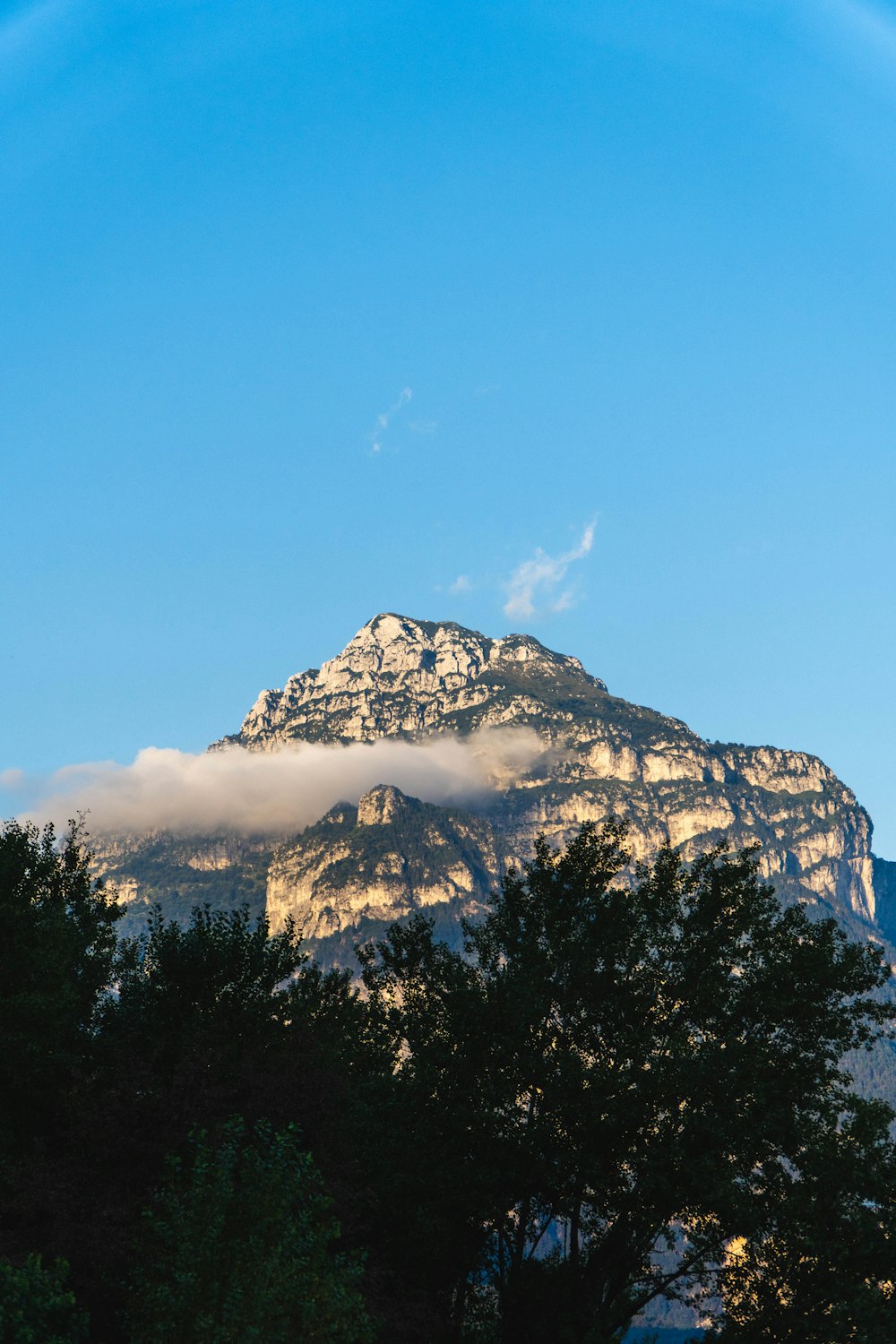 a view of a mountain with trees in front of it