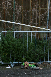 A worn pair of shoes abandoned on a city sidewalk, symbolizing the struggle of homelessness.