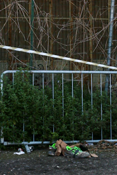 A worn pair of shoes abandoned on a city sidewalk, symbolizing the struggle of homelessness.