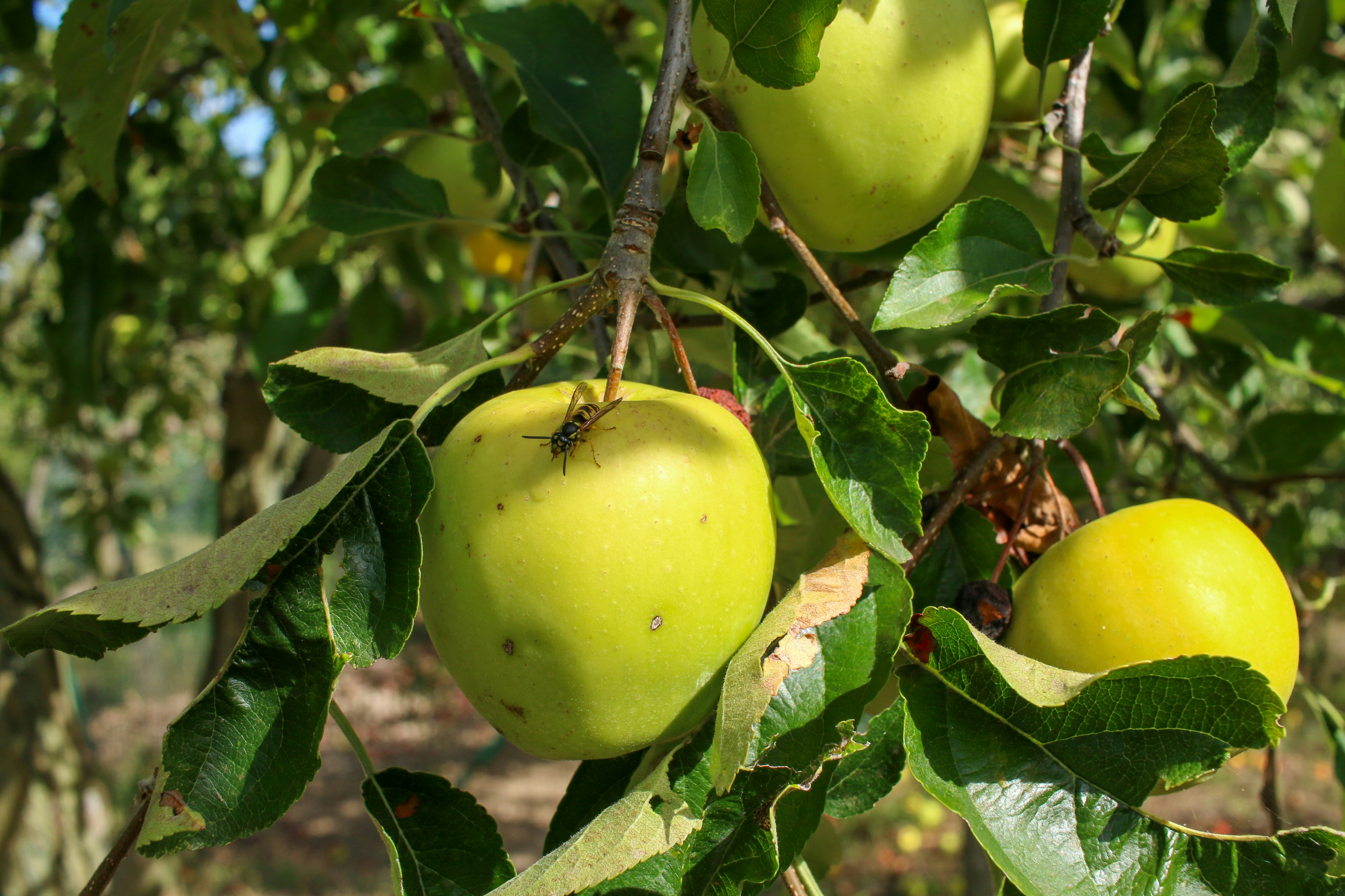 Photo by ale__bosi15