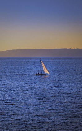A sleek trimaran equipped with solar panels and sails, gliding near a serene coastline during sunset.